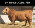 DH Trailblazer 38H