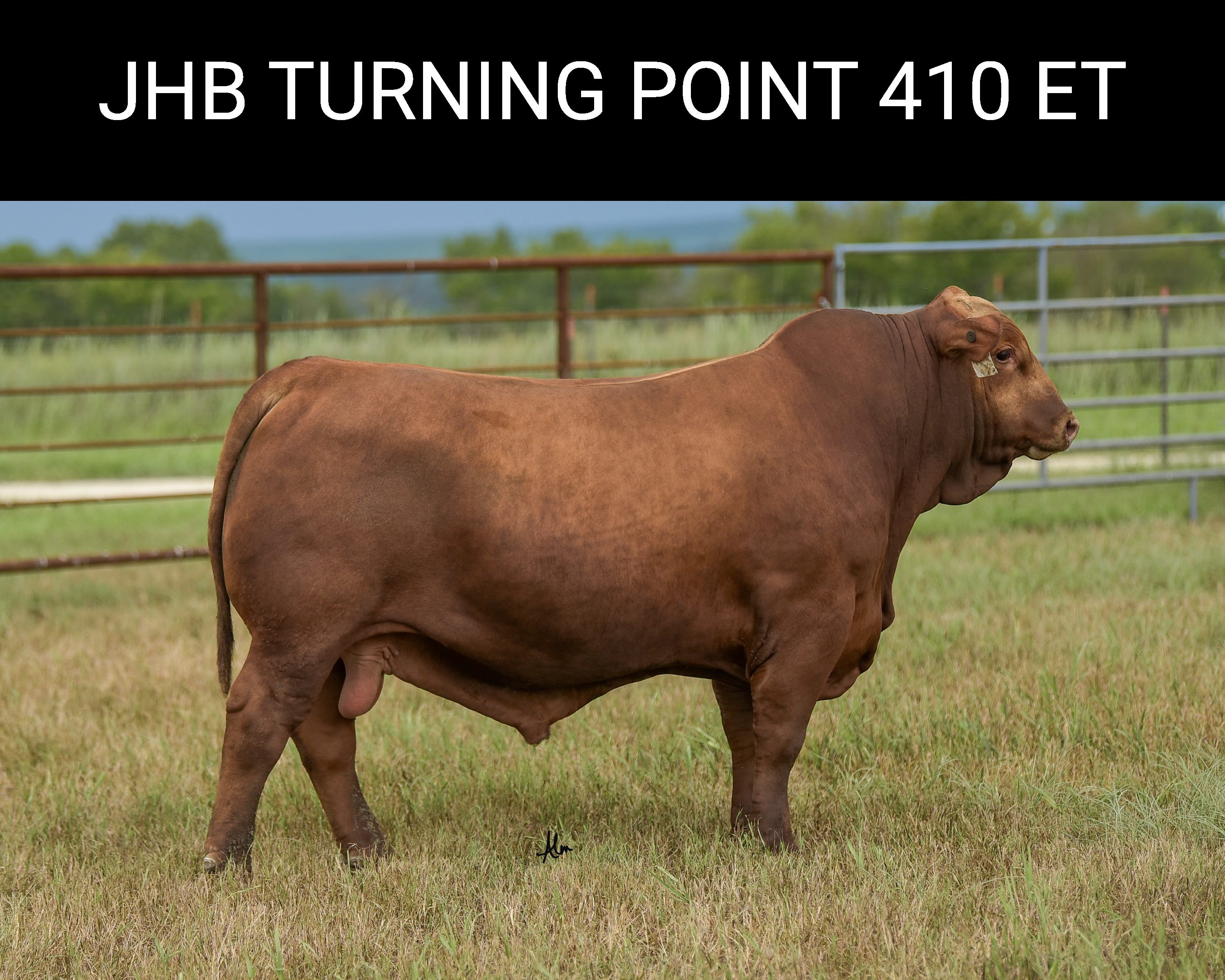 JHB Turning Point 410 ET