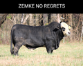 Zemke No Regrets