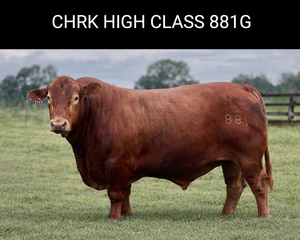 CHRK High Class 881G