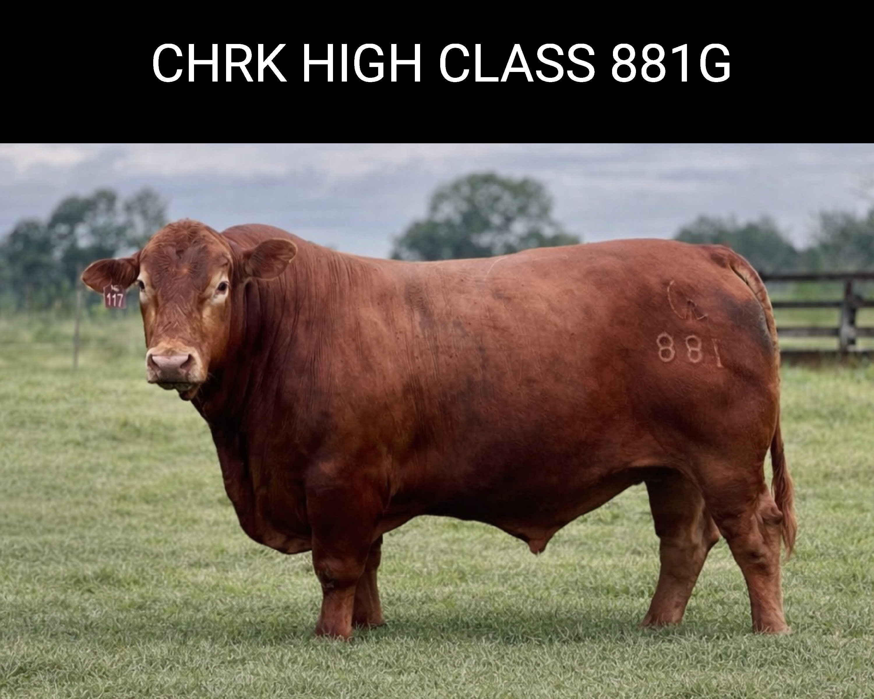 CHRK High Class 881G